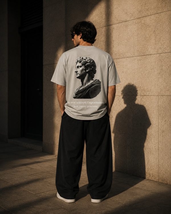 WhatsApp Image 2026-05-29 at 20.30.36 (7) Camiseta Gris