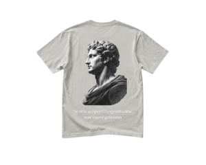WhatsApp_Image_2026-05-29_at_20.30.36__3_-removebg-preview Camiseta Gris